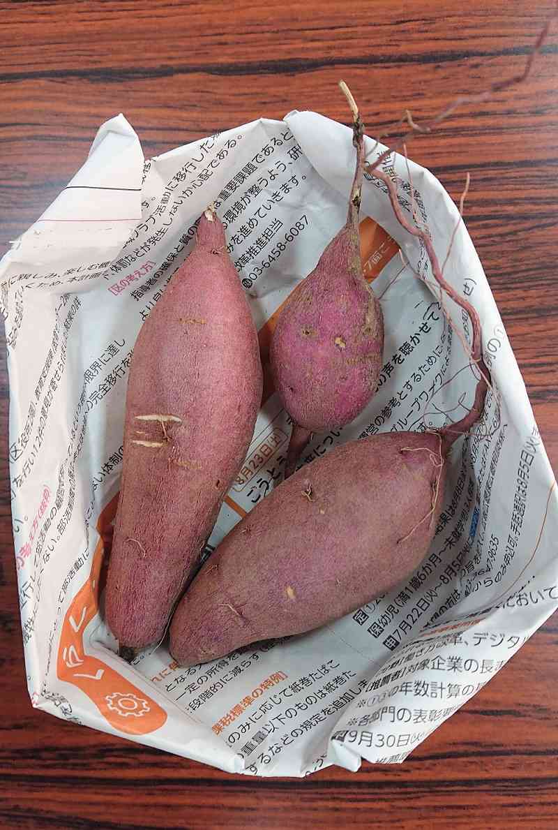 ２年さつまいも１