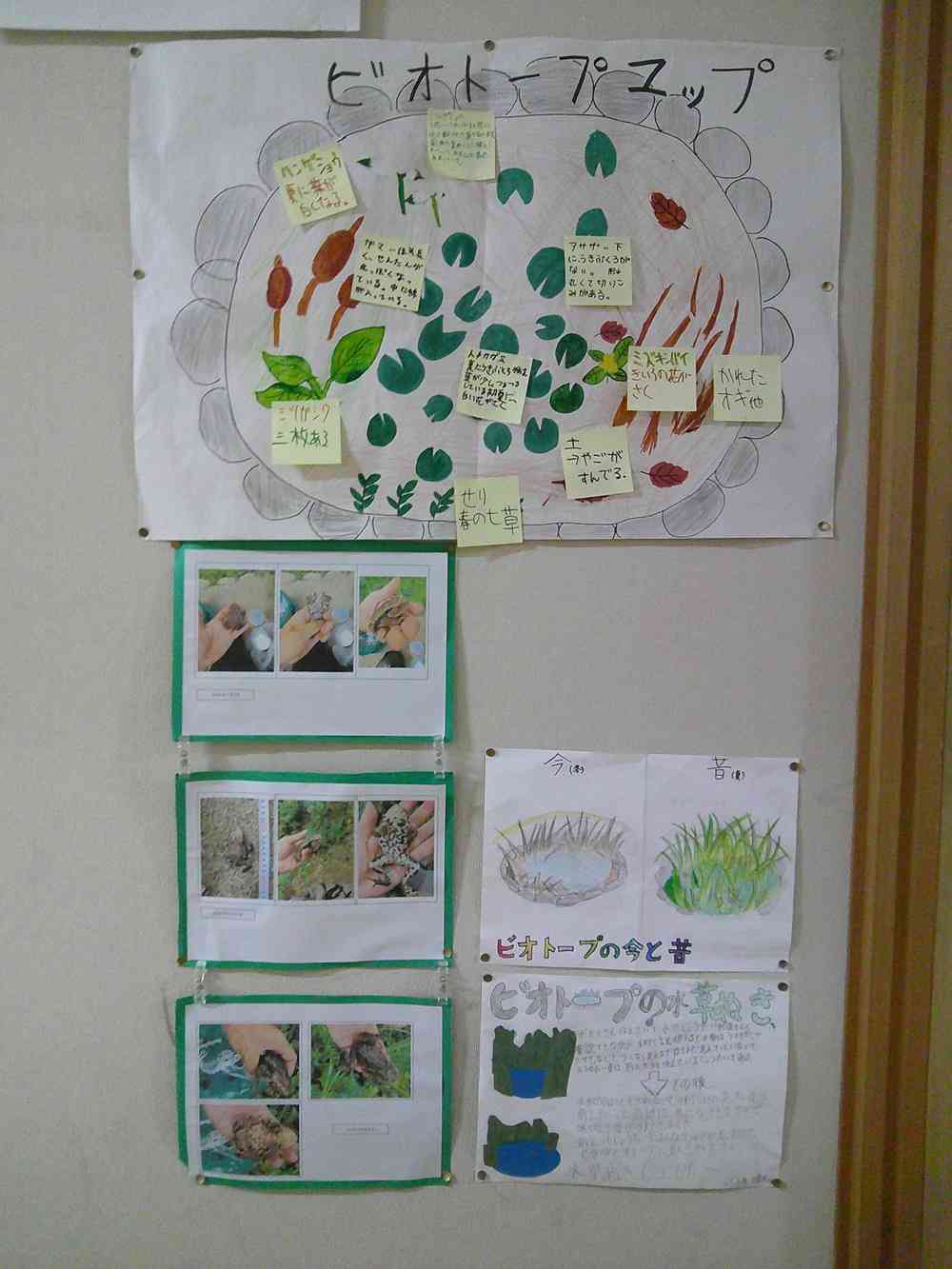 ビオトープマップ