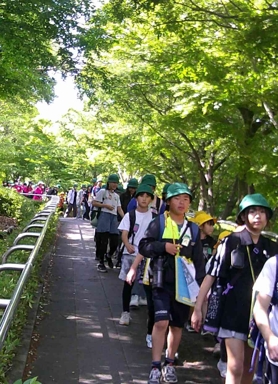 080507全校遠足2