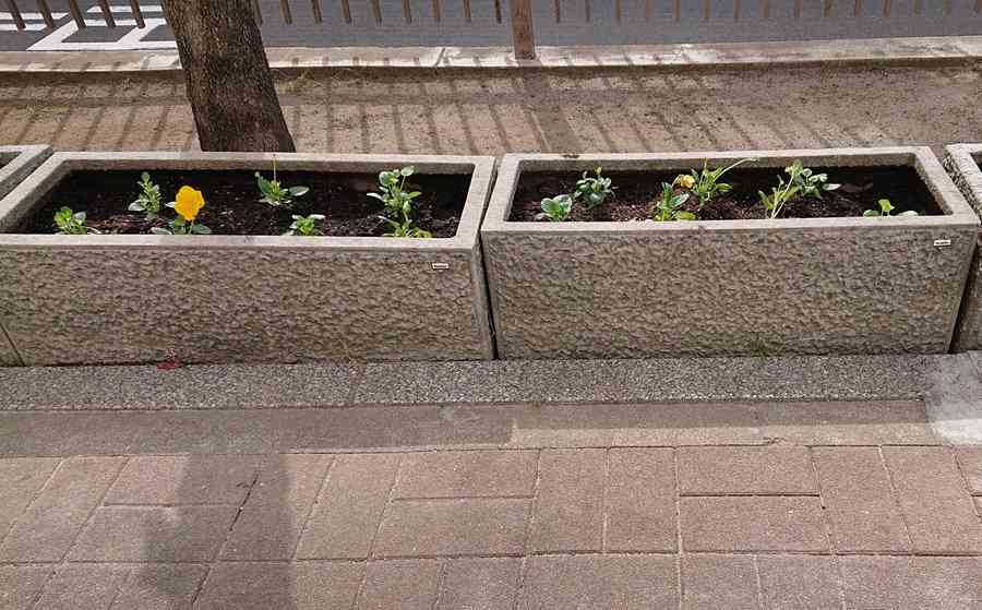 1020花壇２