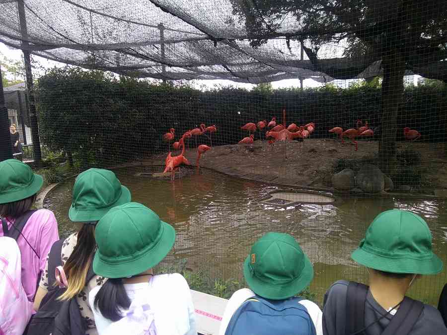 1023 2年生活科見学4